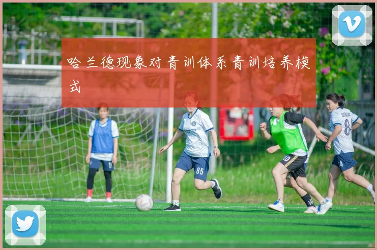 哈兰德现象对青训体系青训培养模式