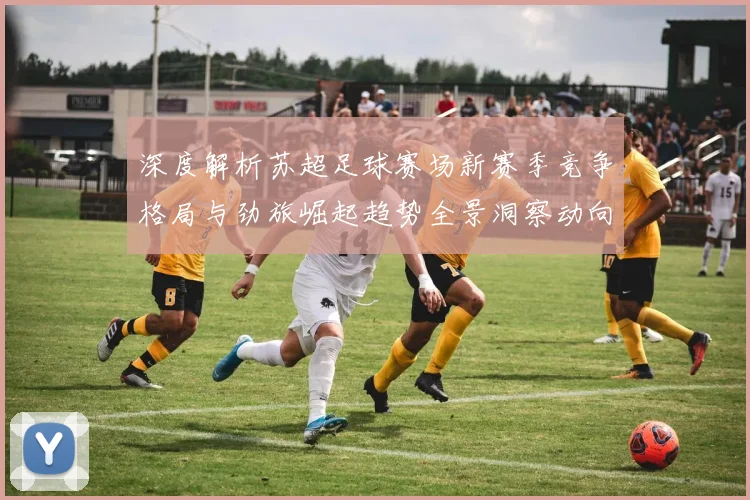 深度解析苏超足球赛场新赛季竞争格局与劲旅崛起趋势全景洞察动向