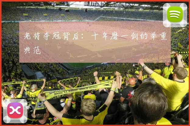 老将夺冠背后：十年磨一剑的举重典范